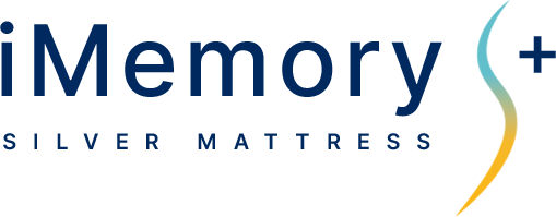 Logo matraca iMemory S+ Silver
